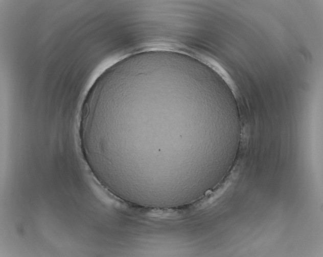 X0000111021146200907022153