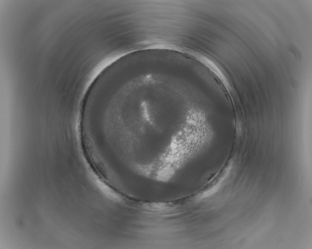 X0000111021149200907022153