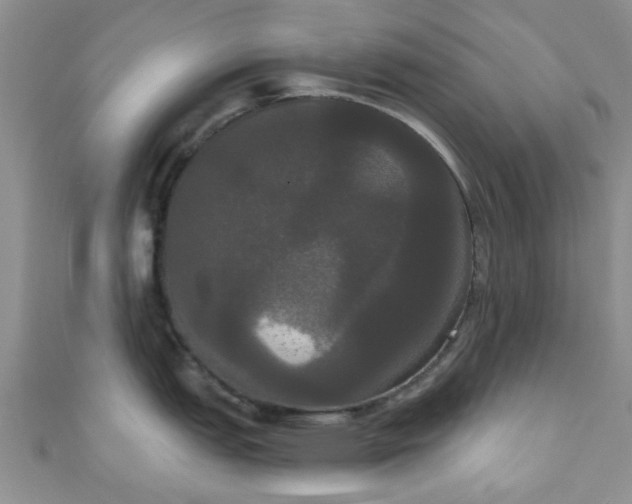 X0000111021151200907022153