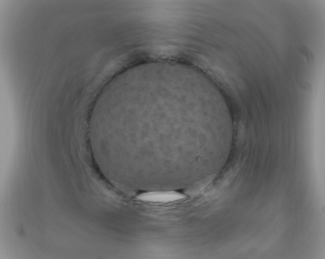 X0000111021153200907022152