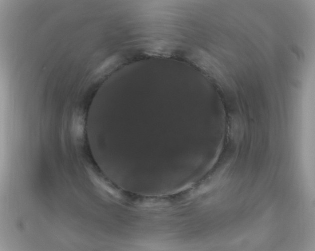 X0000111021154200907022152