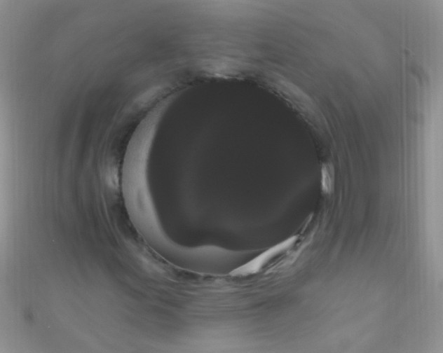 X0000111021155200907022152