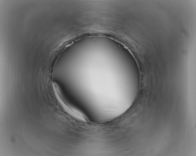 X0000111021157200907022152