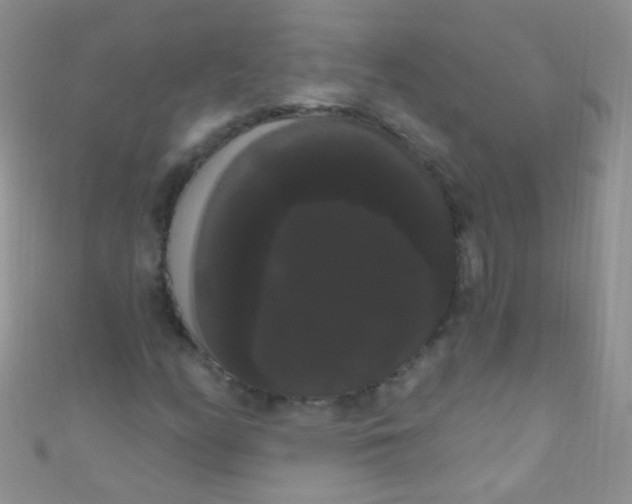 X0000111021158200907022152