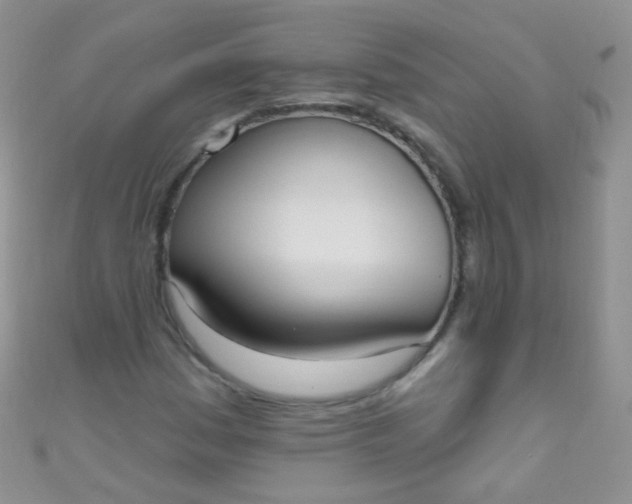 X0000111021161200907022152