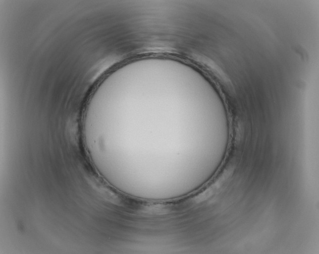 X0000111021162200907022152
