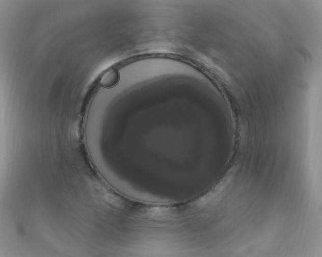 X0000111021166200907022152