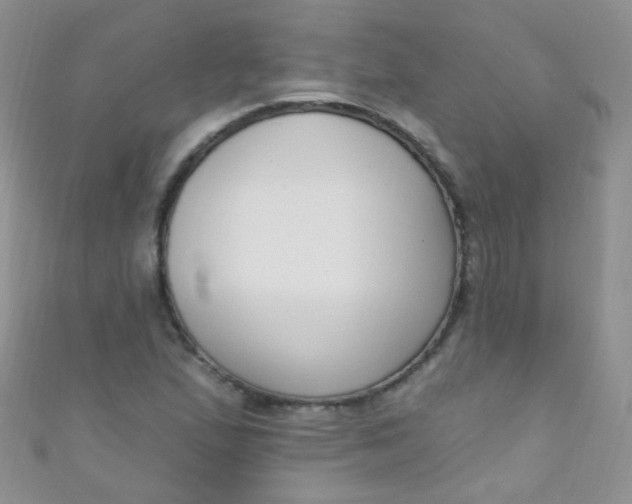 X0000111021167200907022152