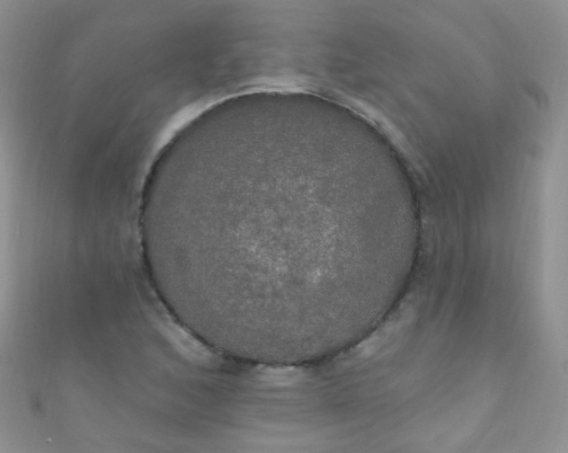 X0000111021168200907022152