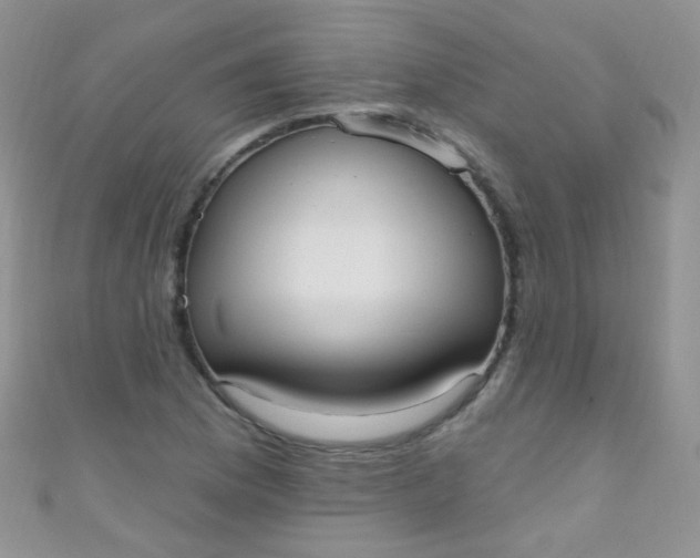 X0000111021169200907022152