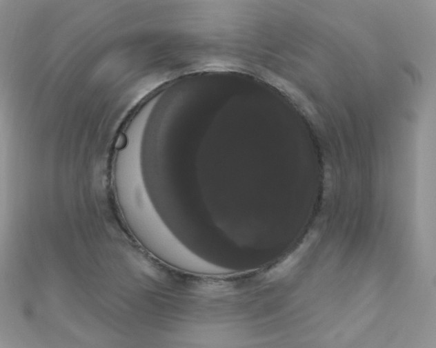 X0000111021170200907022152