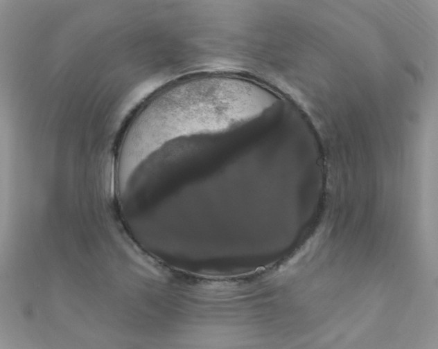 X0000111021171200907022152