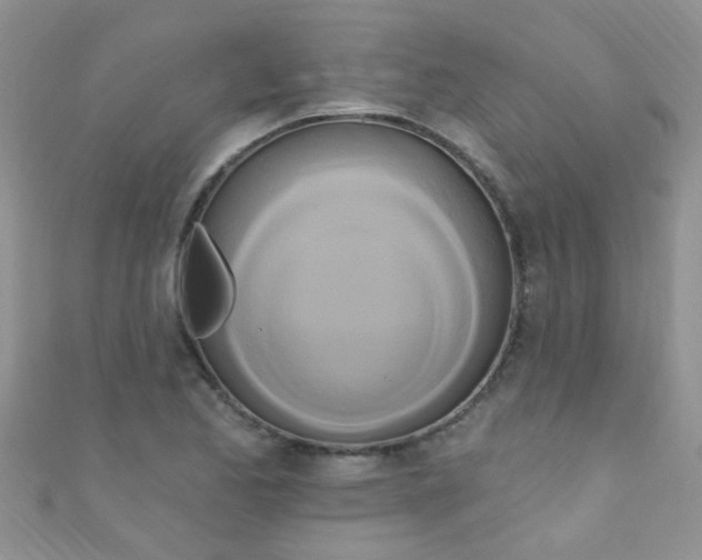 X0000111021173200907022152