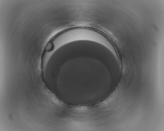 X0000111021174200907022152