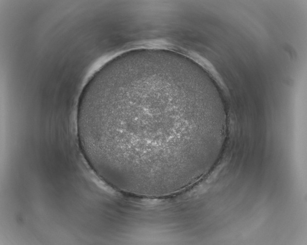 X0000111021176200907022152
