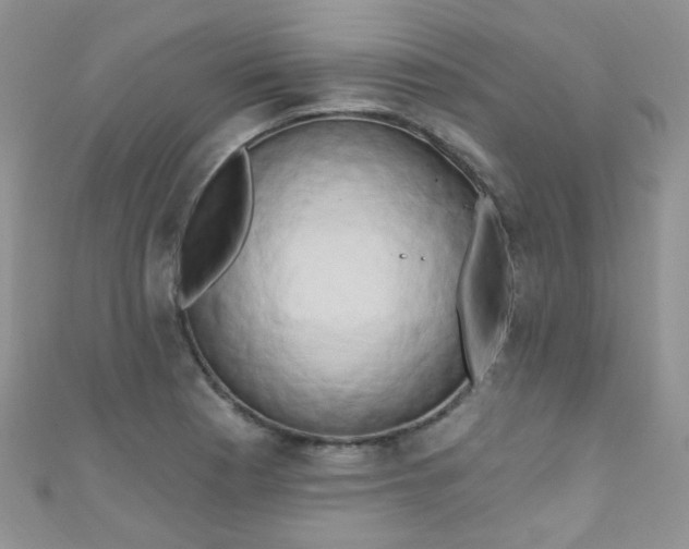 X0000111021177200907022152