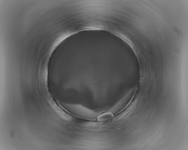 X0000111021179200907022152
