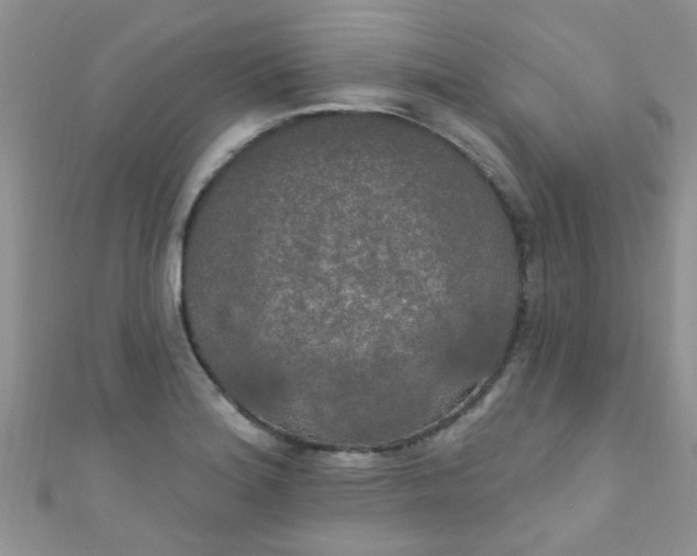 X0000111021180200907022152