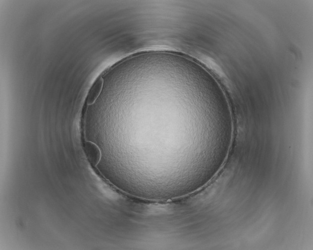 X0000111021181200907022152