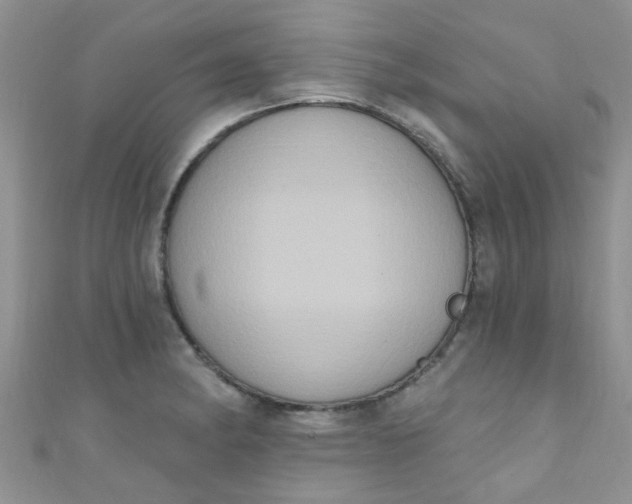 X0000111021182200907022152