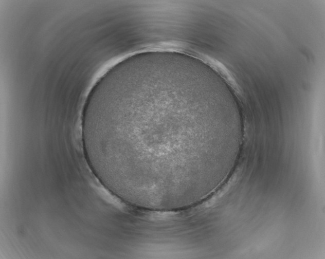 X0000111021184200907022152