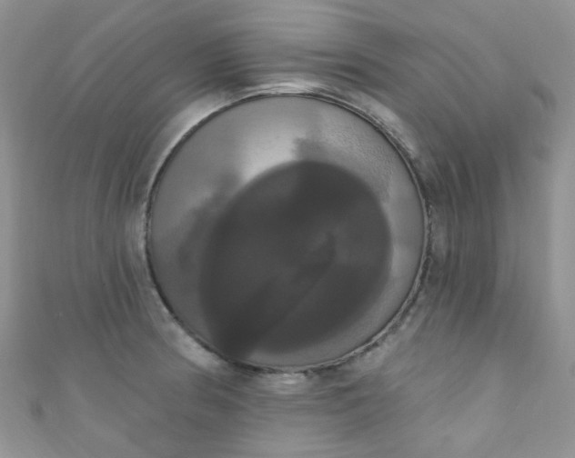 X0000111021186200907022152