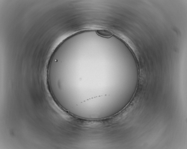 X0000111021187200907022152