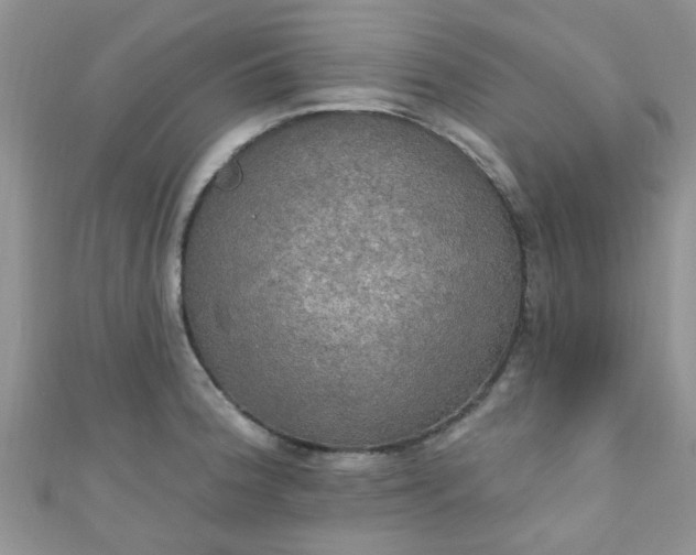 X0000111021188200907022152