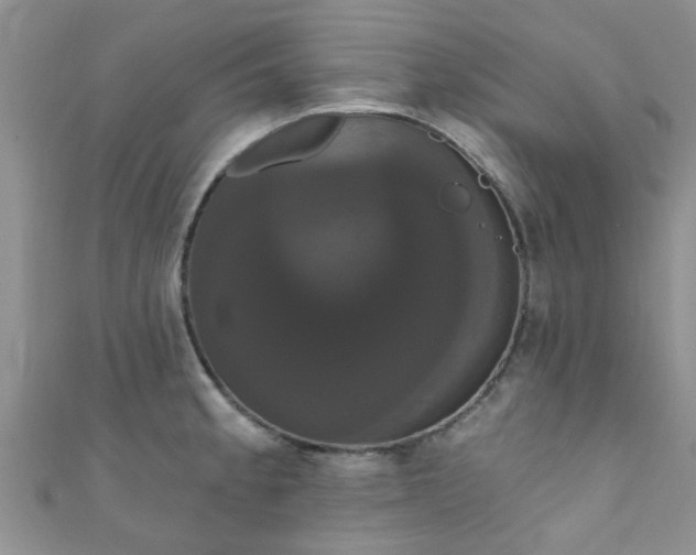 X0000111021189200907022152