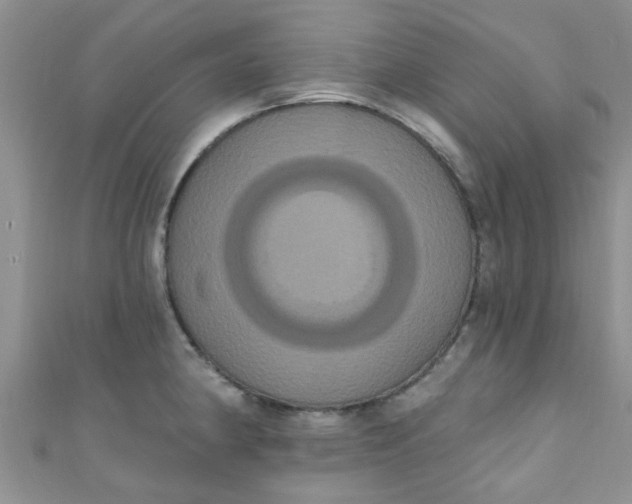 X0000111021190200907022152