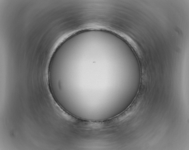 X0000111021191200907022152