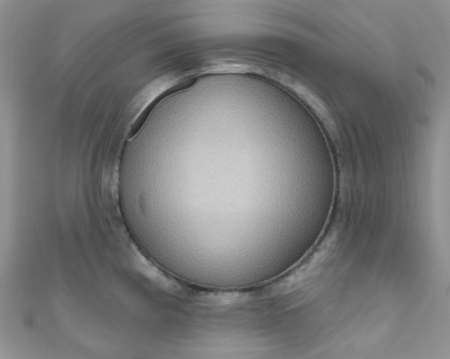 X0000111021193200907022152