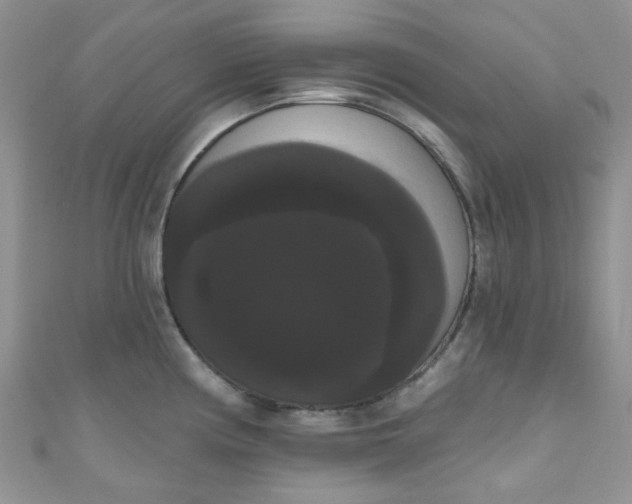 X0000111021194200907022152