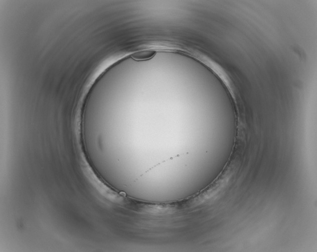 X0000111021195200907022152