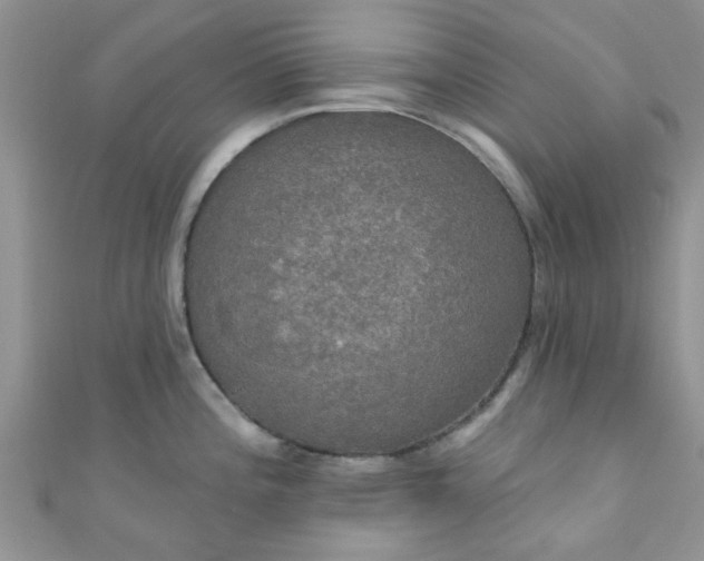 X0000111021196200907022152