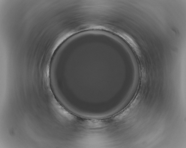 X0000111021198200907022152