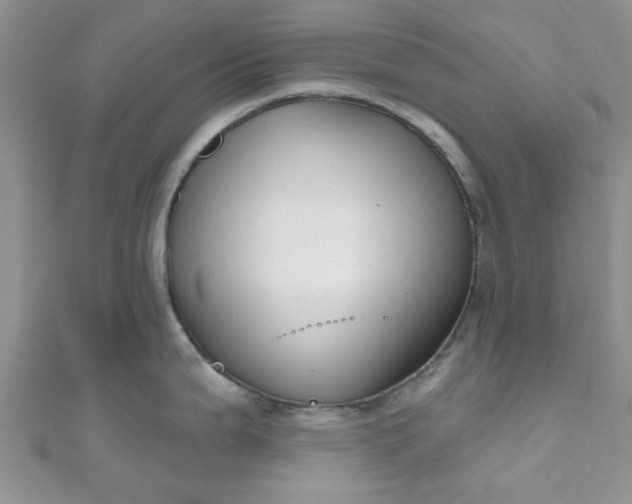 X0000111021199200907022152