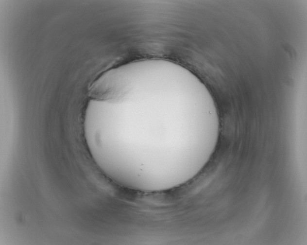 X0000111021201200907022151