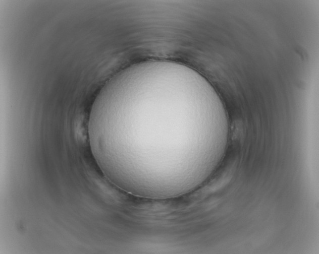 X0000111021202200907022151