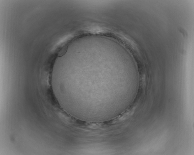 X0000111021205200907022151