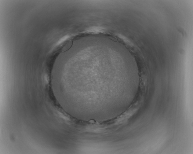 X0000111021206200907022151