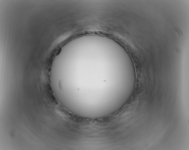 X0000111021207200907022151