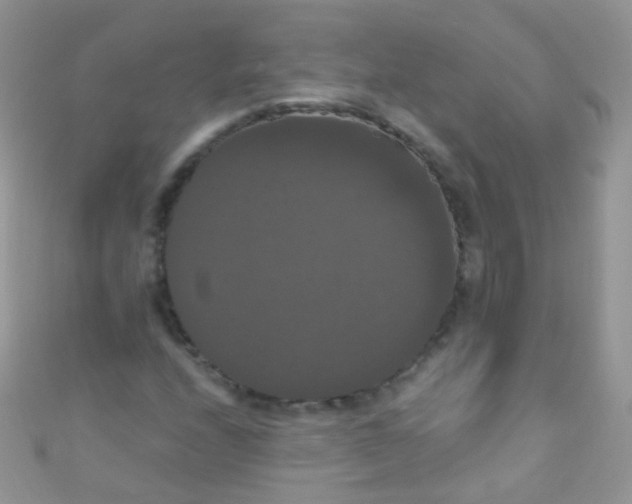 X0000111021208200907022151