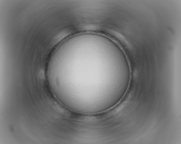 X0000111021209200907022151