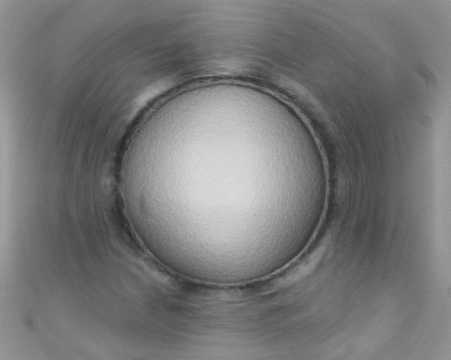 X0000111021210200907022151