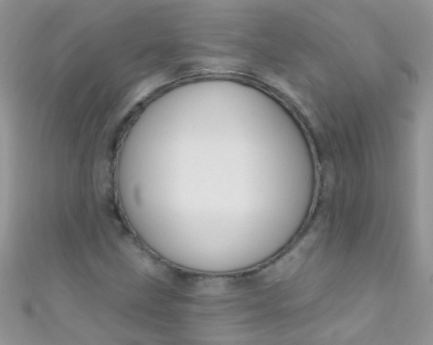 X0000111021211200907022151