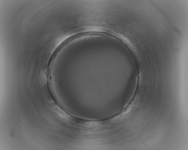 X0000111021212200907022151