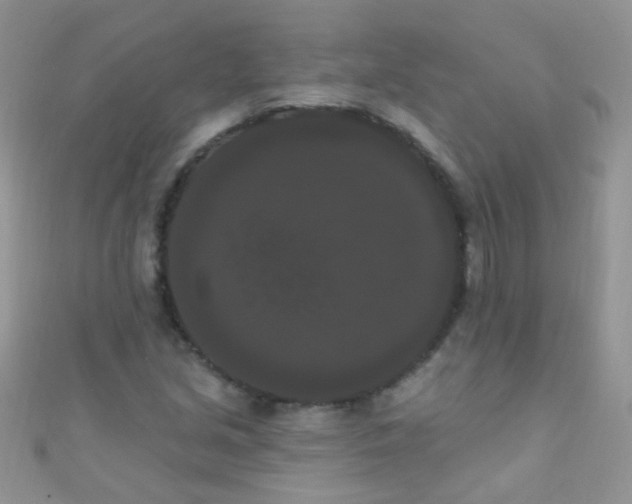 X0000111021213200907022151
