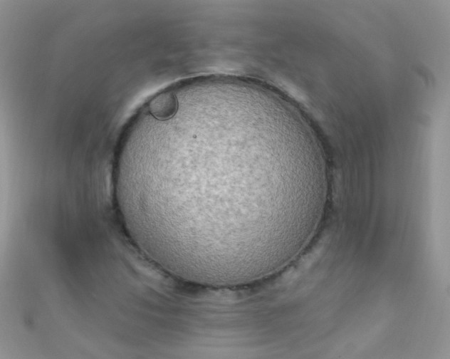 X0000111021214200907022151