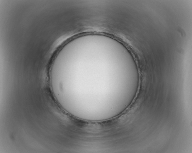 X0000111021215200907022151